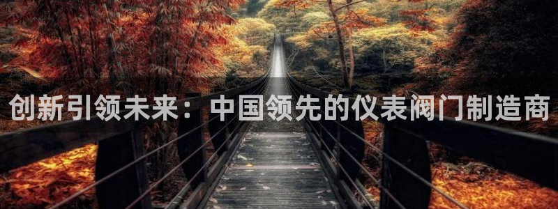 顺盈娱乐公司介绍