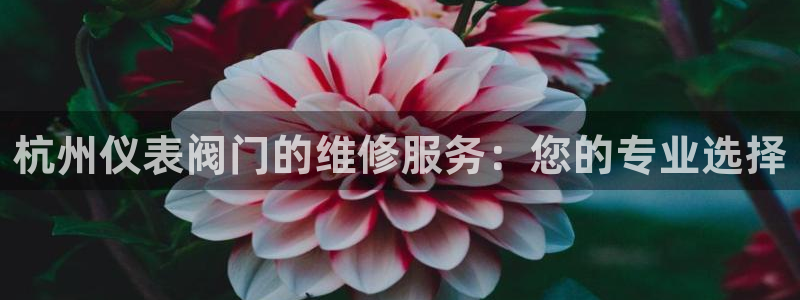 清远顺盈娱乐酒店