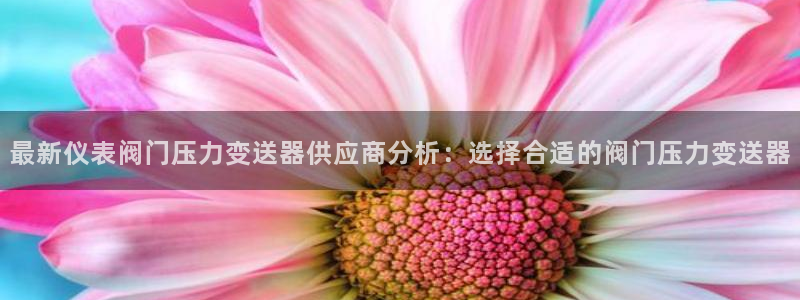 顺盈娱乐认究7276O