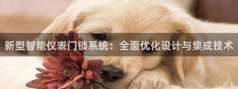 顺盈娱乐市究7276O
