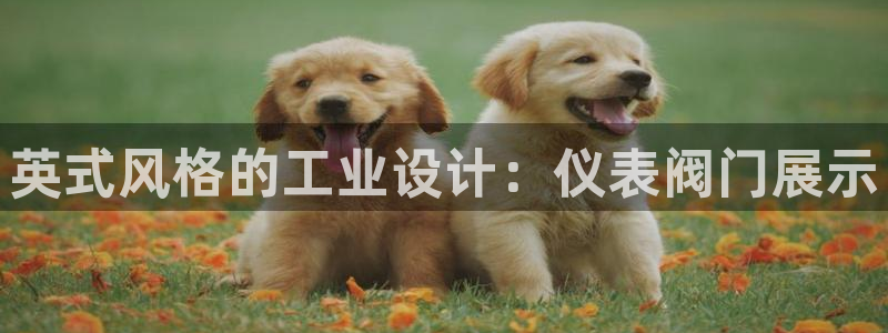 顺盈娱乐下载安装最新版