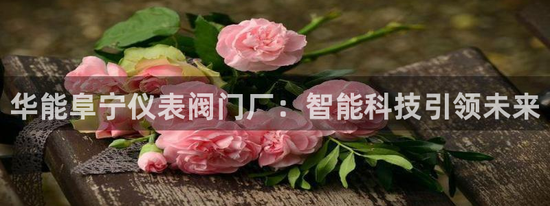 顺盈娱乐在线开户官网