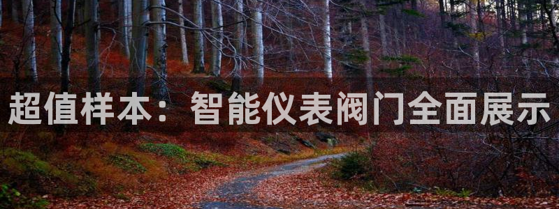 清远市顺盈广场谷哥娱乐ktv