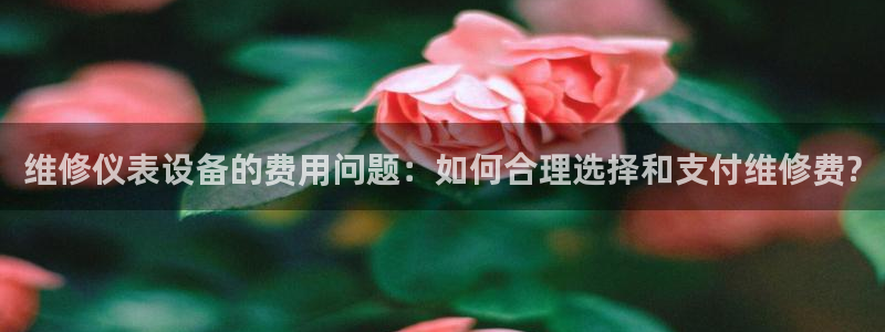 顺盈娱乐招商左原判官333OO