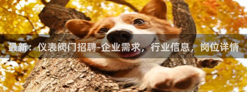 顺盈娱乐402201