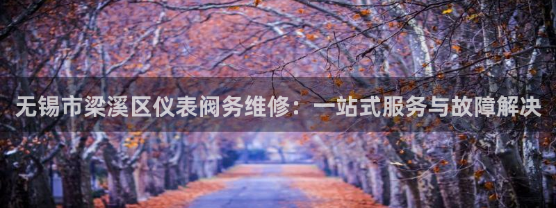 顺盈娱乐975949