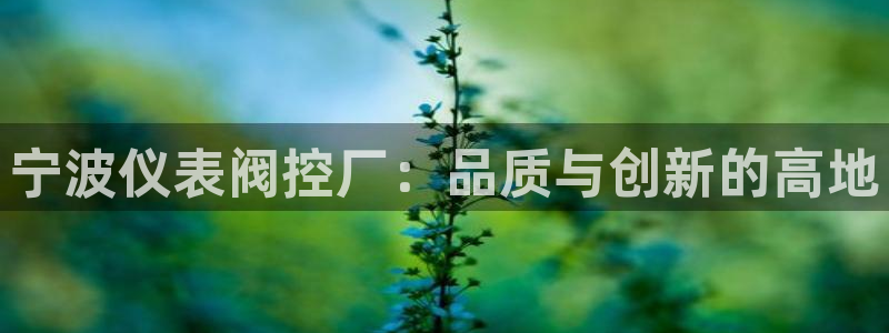 顺盈娱乐认究7276O