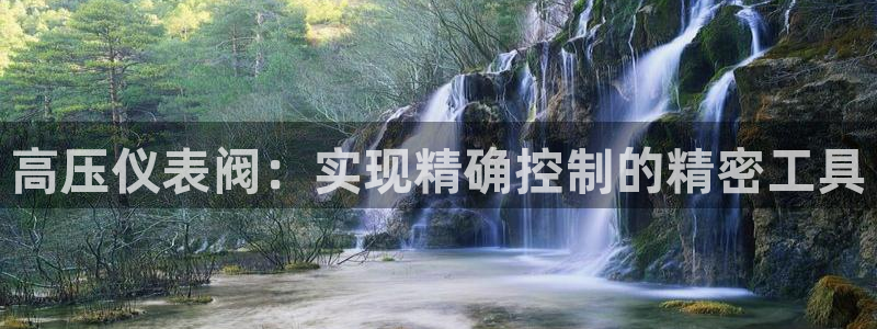 顺盈娱乐下载安装官方版