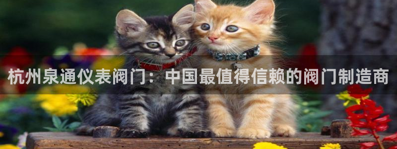 清远顺盈娱乐集团工作