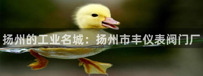 顺盈娱乐下载安装手机版