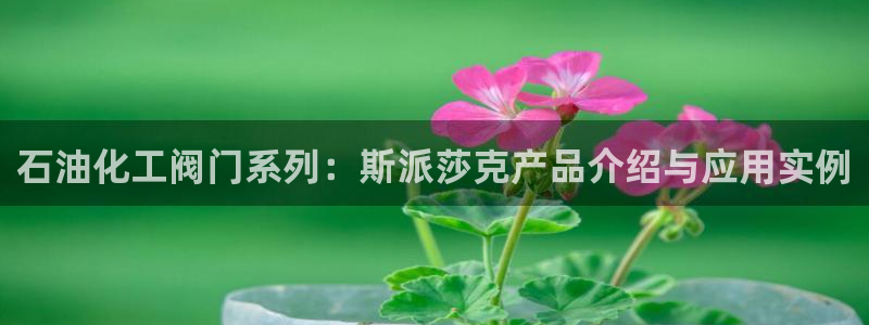顺盈娱乐平台代理多少钱