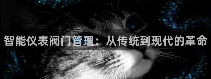 顺盈童欢娱乐有限公司