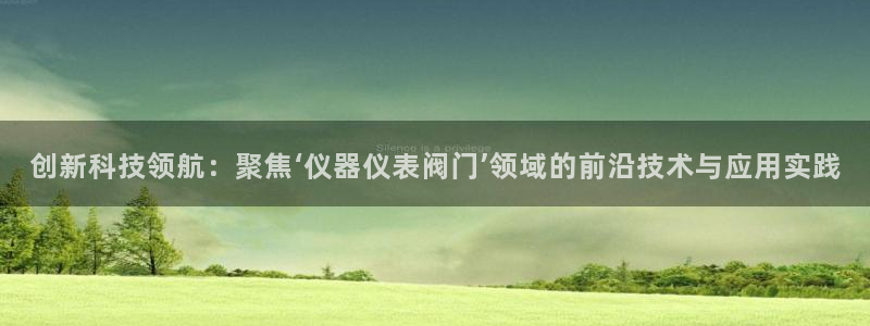 顺盈娱乐棋牌官网