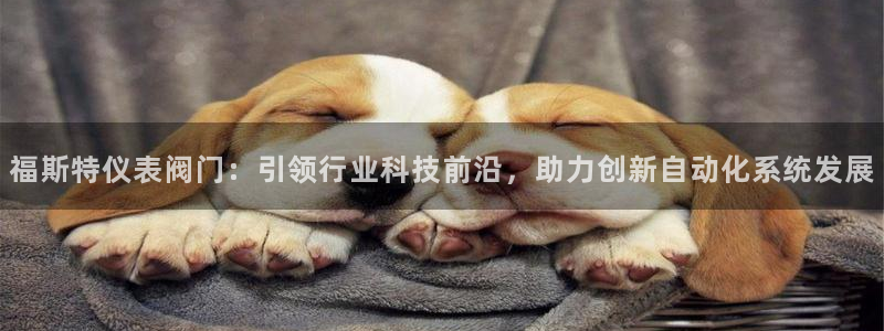 顺盈娱乐最高代理是谁啊