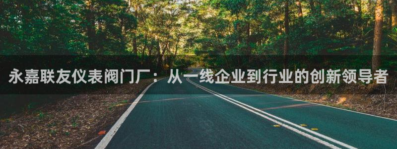 顺盈娱乐最高代理人