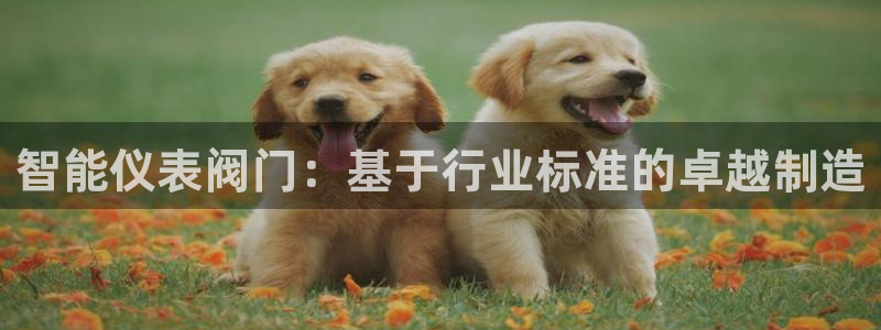 顺盈娱乐棋牌官网