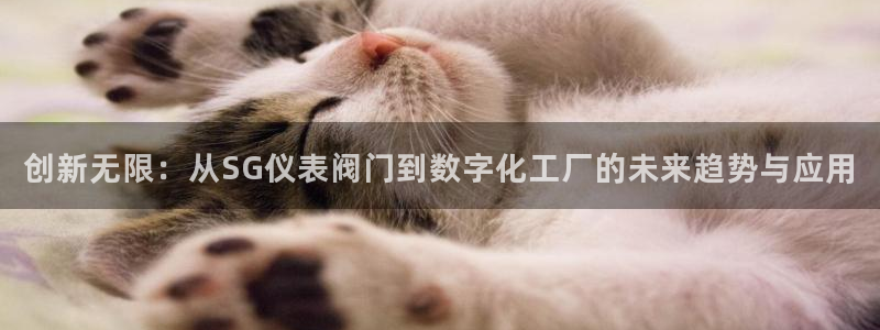 顺盈娱乐铜333OO
