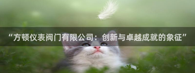 顺盈娱乐公司介绍