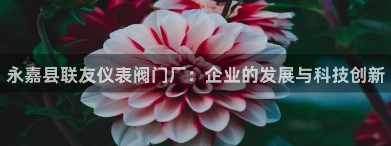 娱乐顺盈国际