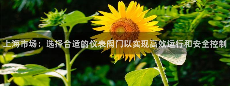 顺盈娱乐官网下载