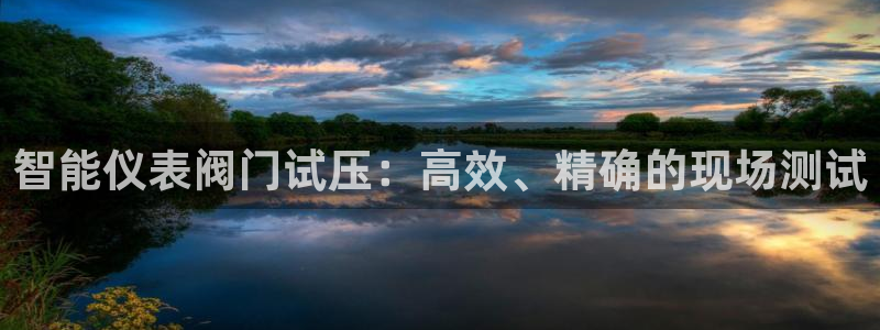 顺盈娱乐棋牌