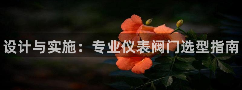 顺盈娱乐代理怎么样啊