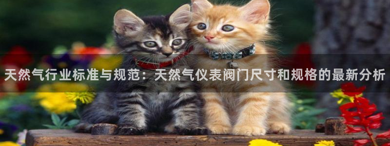 顺盈有什么娱乐场所