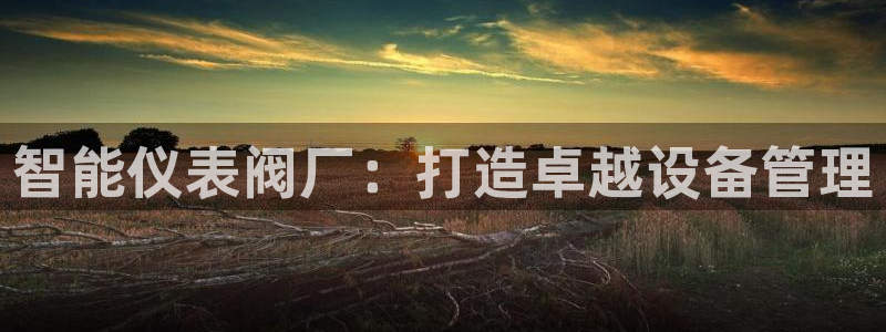 顺盈娱乐彩票怎么样
