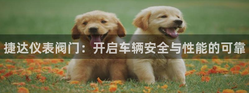 顺盈娱乐彩票