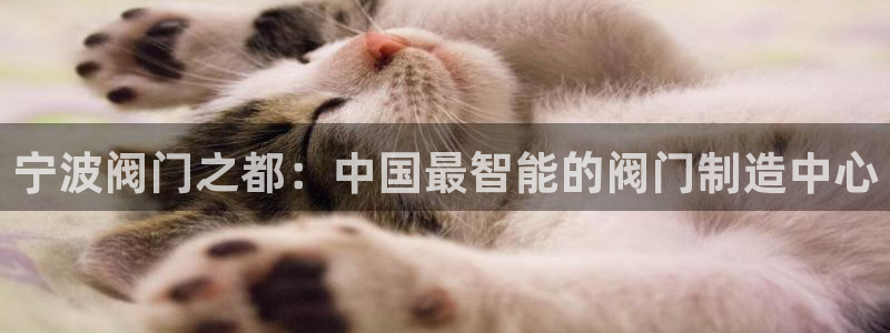 顺盈娱乐主管右原判官333OO