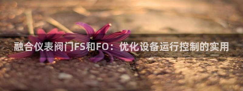 顺盈娱乐最高代理是谁呀