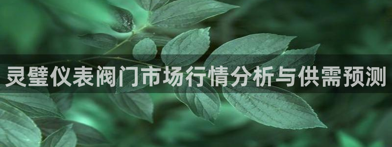 顺盈娱乐主管=天神779O3