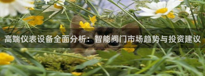顺盈娱乐下载