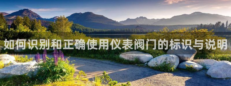 清远顺盈娱乐公司
