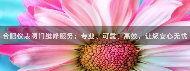 顺盈娱乐在线开户怎么样