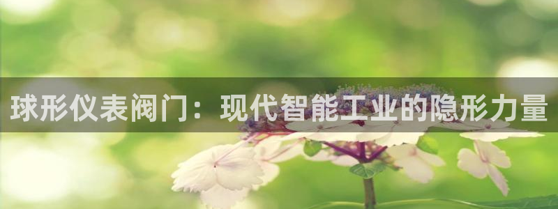 顺盈平台娱乐怎么样