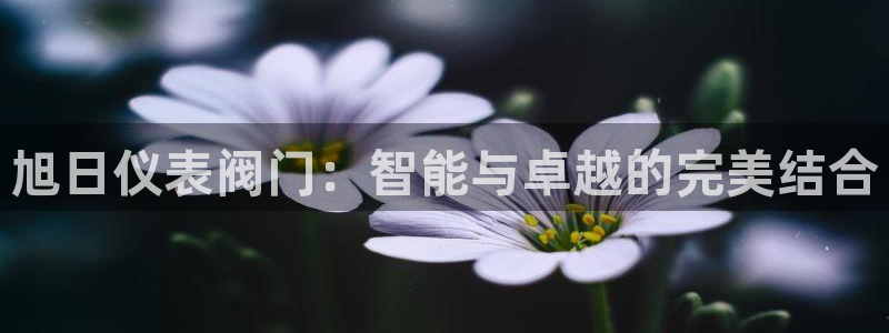 清远顺盈娱乐公司工作