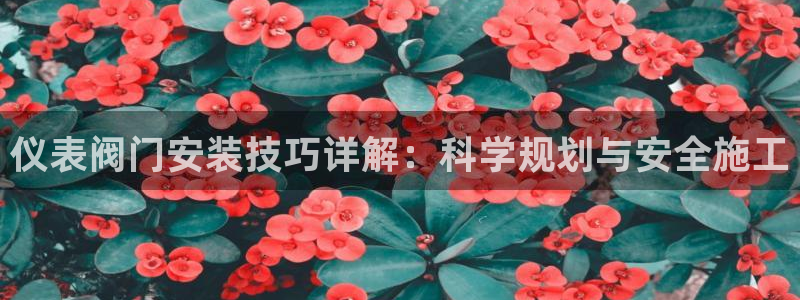 顺盈娱乐团购