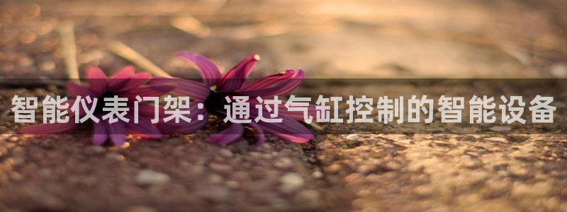 顺盈娱乐在线开户流程图