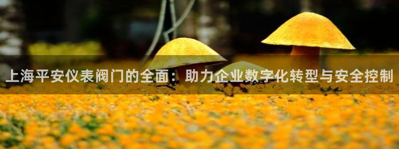 清远顺盈娱乐集团电话