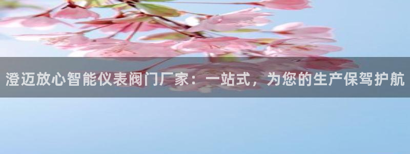 顺盈娱乐主管面试