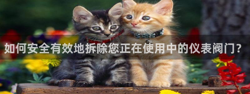 清城区顺盈娱乐会所地址