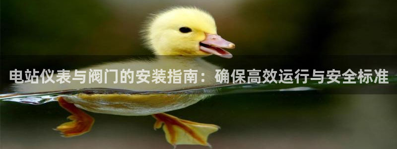 顺盈娱乐推344k.com