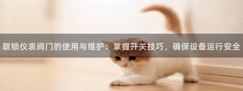 清远顺盈娱乐公司工作