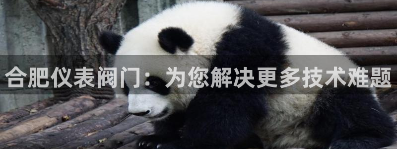 清远顺盈娱乐公司招聘