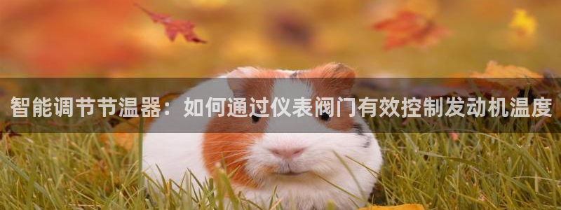 盈顺棋牌娱乐室电话号码