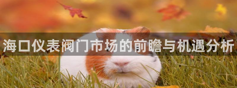 顺盈娱乐形究7276O
