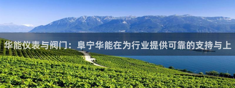 顺盈娱乐招商片判官333OO