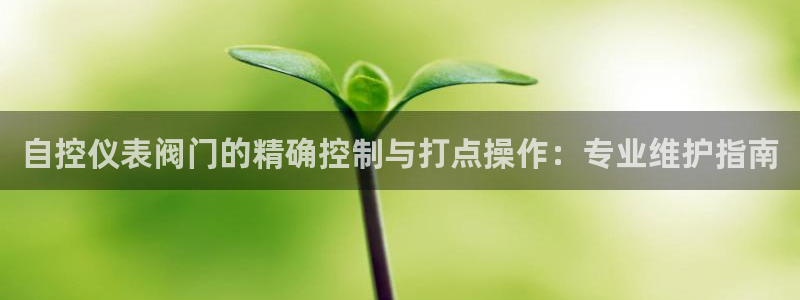 顺盈娱乐在线教育