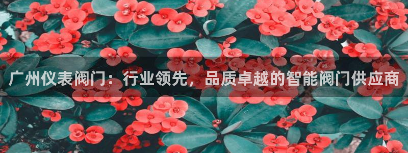 顺盈2娱乐平台